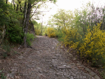 via agrippa de st cyr