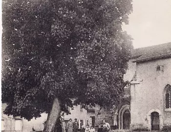 Photos anciennes de Saint Cyr en Limousin